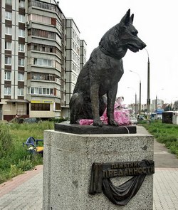 Будьте ласкаві - інтерв'ю з собакою - 24 грудень 2014 року - новини сайту антідогхантер