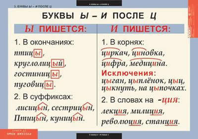 Букви і і и після ц - коли яку букву писати