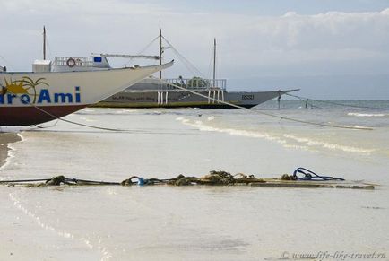 Ce să faci și ce să vezi pe insulele filipineze ale plajei bohol și panglao de pe plaja Alona - viață ca