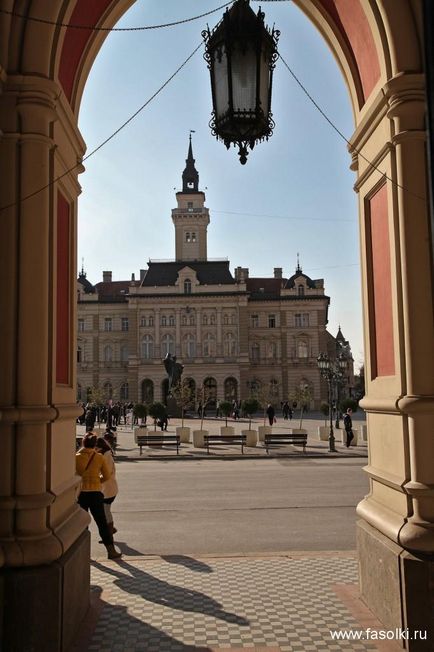 Ce să vezi în Novi Sad