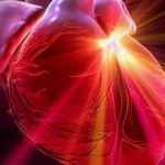Дієта при інфаркті міокарда що можна вживати в їжу під час і після лікування