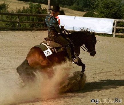 Wild west sălbatic sau cowboy săraci spun cuvântul jurnal de grup - clubul iubitorilor de cai