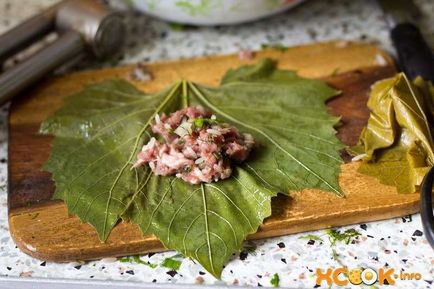 Dolma pentru iarnă - o rețetă gătită pas cu pas cu o fotografie