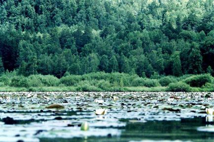 Puncte de atracție din Altai, raport de călătorie cu fotografii