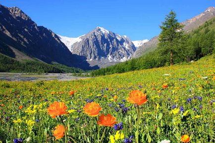 Puncte de atracție din Altai, raport de călătorie cu fotografii