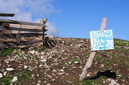 Дозвілля та розваги в Абхазії 12 занять на відпочинку