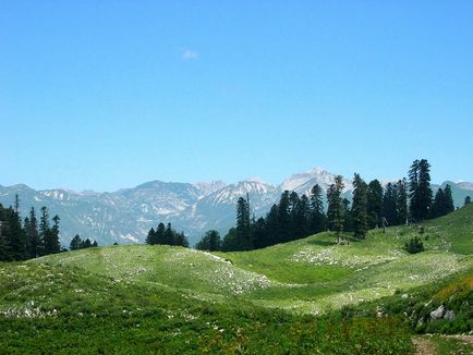 Timp liber și divertisment în Abhazia 12 clase în vacanță