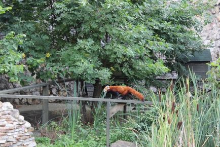 Mergem la grădina zoologică din Moscova, clubul călătorilor Lukas Tour