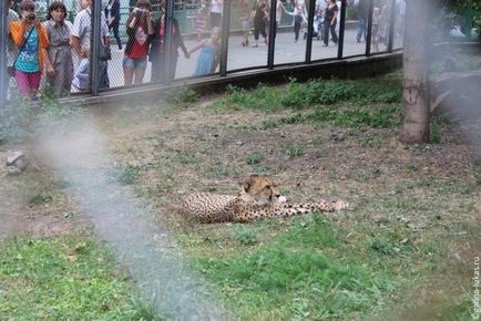 Mergem la grădina zoologică din Moscova, clubul călătorilor Lukas Tour