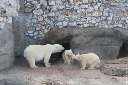 Mergem la grădina zoologică din Moscova, clubul călătorilor Lukas Tour