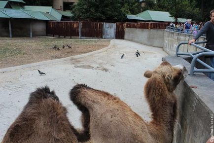 Mergem la grădina zoologică din Moscova, clubul călătorilor Lukas Tour