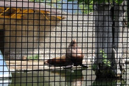 Mergem la grădina zoologică din Moscova, clubul călătorilor Lukas Tour