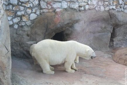 Mergem la grădina zoologică din Moscova, clubul călătorilor Lukas Tour