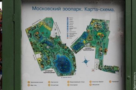 Їдемо в московський зоопарк, клуб мандрівників Лукас тур