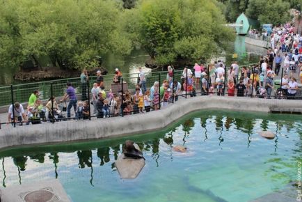 Mergem la grădina zoologică din Moscova, clubul călătorilor Lukas Tour