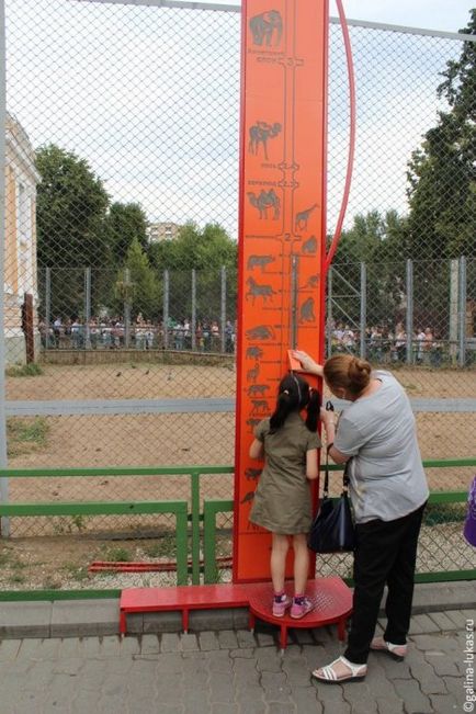 Mergem la grădina zoologică din Moscova, clubul călătorilor Lukas Tour