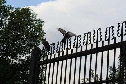 Mergem la grădina zoologică din Moscova, clubul călătorilor Lukas Tour