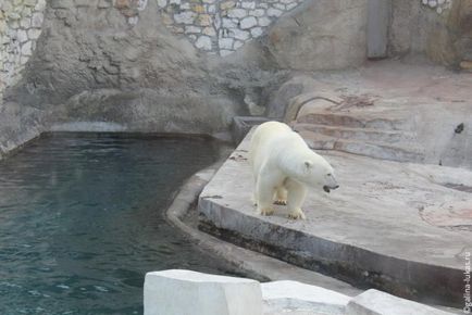 Mergem la grădina zoologică din Moscova, clubul călătorilor Lukas Tour