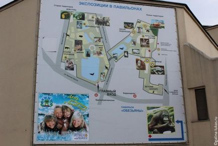 Mergem la grădina zoologică din Moscova, clubul călătorilor Lukas Tour