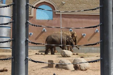 Mergem la grădina zoologică din Moscova, clubul călătorilor Lukas Tour