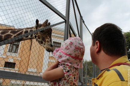 Mergem la grădina zoologică din Moscova, clubul călătorilor Lukas Tour