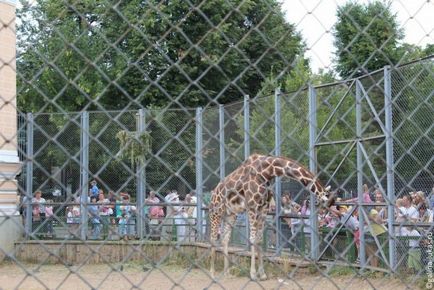 Mergem la grădina zoologică din Moscova, clubul călătorilor Lukas Tour