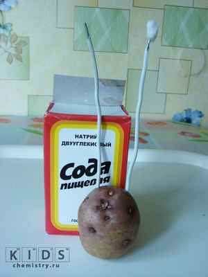 Електрика з соди і картоплі