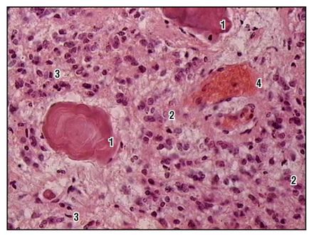 Sistemul endocrin