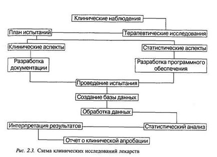 Етапи розвитку біотехнології - медицина, здоров'я