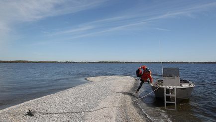 Photofact uitând pescăruși și cormorani pe malul lacului Ontario