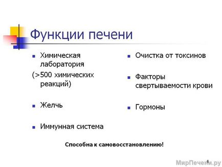 Функції печінки в організмі людини бар'єрна, травна, захисна, детоксикационная,