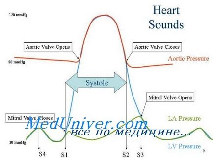 Функціональні шуми серця у дітей - лікування серця