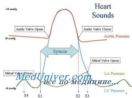 Функционални сърдечни тонове при деца - лечение на сърдечна