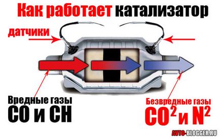 Де знаходиться каталізатор