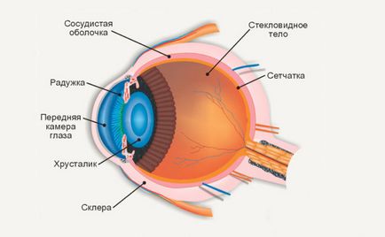 Hyphema (hemoragie în camera anterioară a ochiului) ce este, simptome, cauze, tratament (picături și