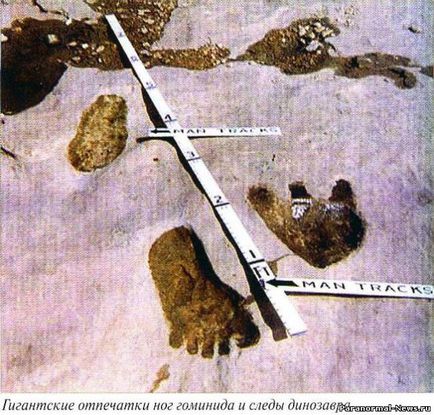 Ipoteza dinozaurilor - oameni degradati - mamuti si dinozauri - stiri