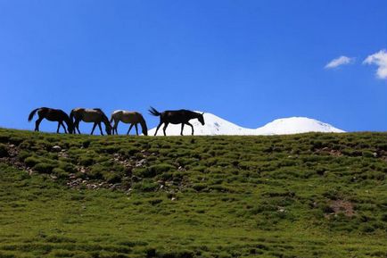 Muntele Elbrus în Caucaz