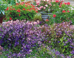 Idei pentru decorarea unei grădini