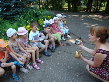 Ідеї ​​з оформлення ділянки