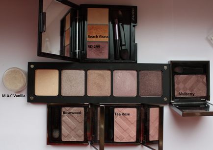 Inglot libertatea sistem paleta de fard de obraz - revizuirea de svitchi, make-up, elia chaba