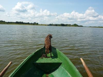 Istoria lacului este originea - lacul - catalogul articolelor - se odihnește pe plajă