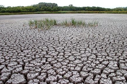 Зміни клімату в Алтайському краї - російська планета