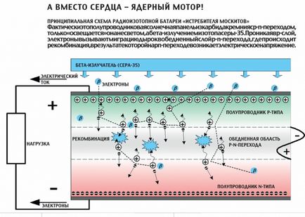 Cum să se ocupe de țânțarii malari, revista Popular Mechanics