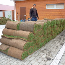 Care sunt principalele tipuri de peluze și plante pentru aceasta sunt fotografia unui rulou și a unei peluze rotunde