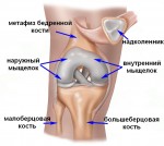 Cum să tratați tumefierea piciorului cauzată de oboseală și boală vasculară