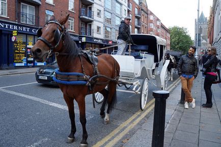 Cum am băut bere de Guinness în Muzeul Ginness din Dublin, știu în străinătate