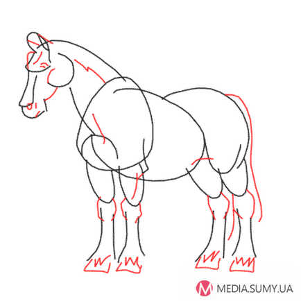 Як намалювати коня-ваговоз клайдесдальской породи