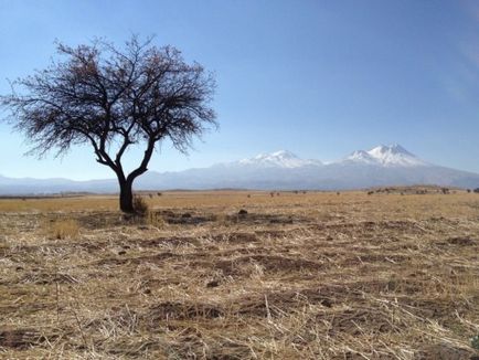 Як знайти ідеальний ракурс для фотографій на iphone 9 рад