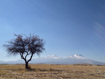 Як знайти ідеальний ракурс для фотографій на iphone 9 рад