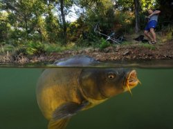 Cum să găsiți locuri pentru pescuitul crapului